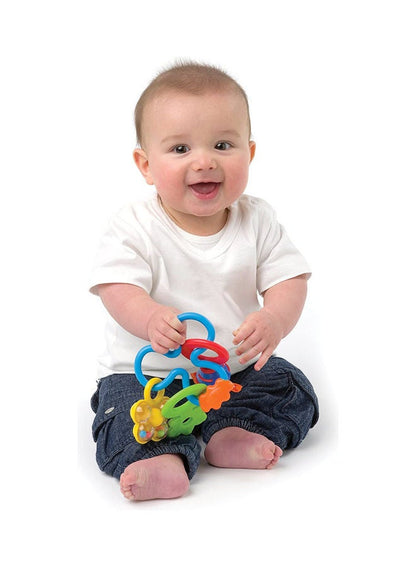 Playgro Twirly Whirl Baby Rattle Toy