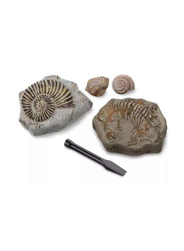 Mini Fossil Excavation Kit by Discovery