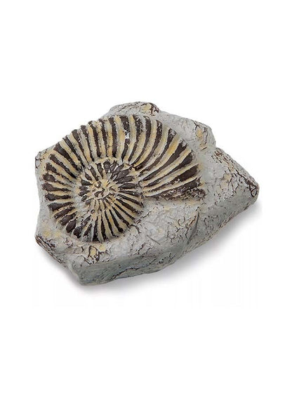 Mini Fossil Excavation Kit by Discovery