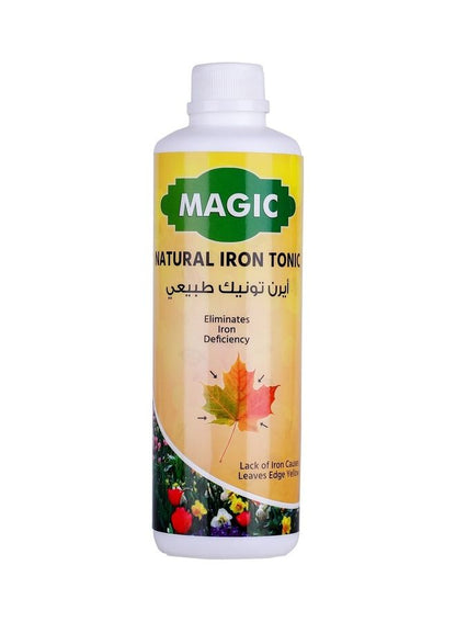 EBFF MAGIC IRON TONIC Clear 500ml