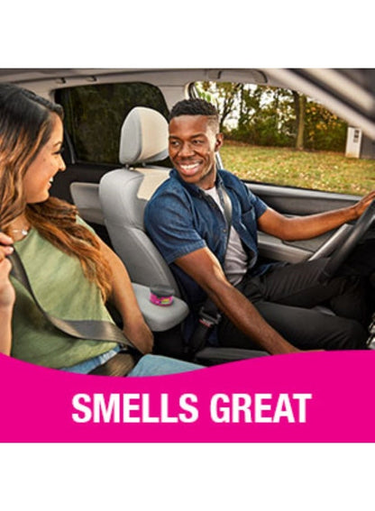 California Scents Ice Scent Car Fresheners