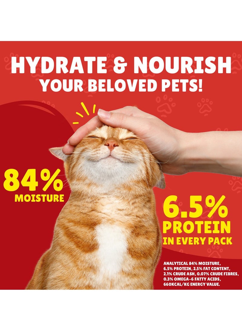 PURINA Friskies Turkey Chunks in Gravy Wet Cat Food