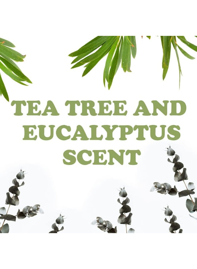 care eco, crystal deorant, crystal deorant mist, day key, deorant mist, deorant mist tea, eucalyptus scented, hypoallergenic, mist tea, mist tea tree, tea tree, tea tree eucalyptus, thai, tree eucalyptus, tree eucalyptus scented