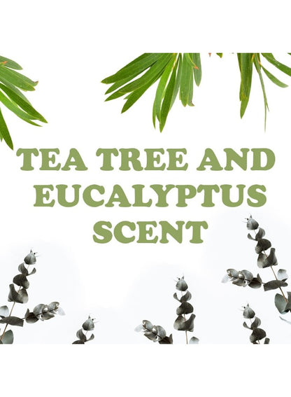 care eco, crystal deorant, crystal deorant mist, day key, deorant mist, deorant mist tea, eucalyptus scented, hypoallergenic, mist tea, mist tea tree, tea tree, tea tree eucalyptus, thai, tree eucalyptus, tree eucalyptus scented