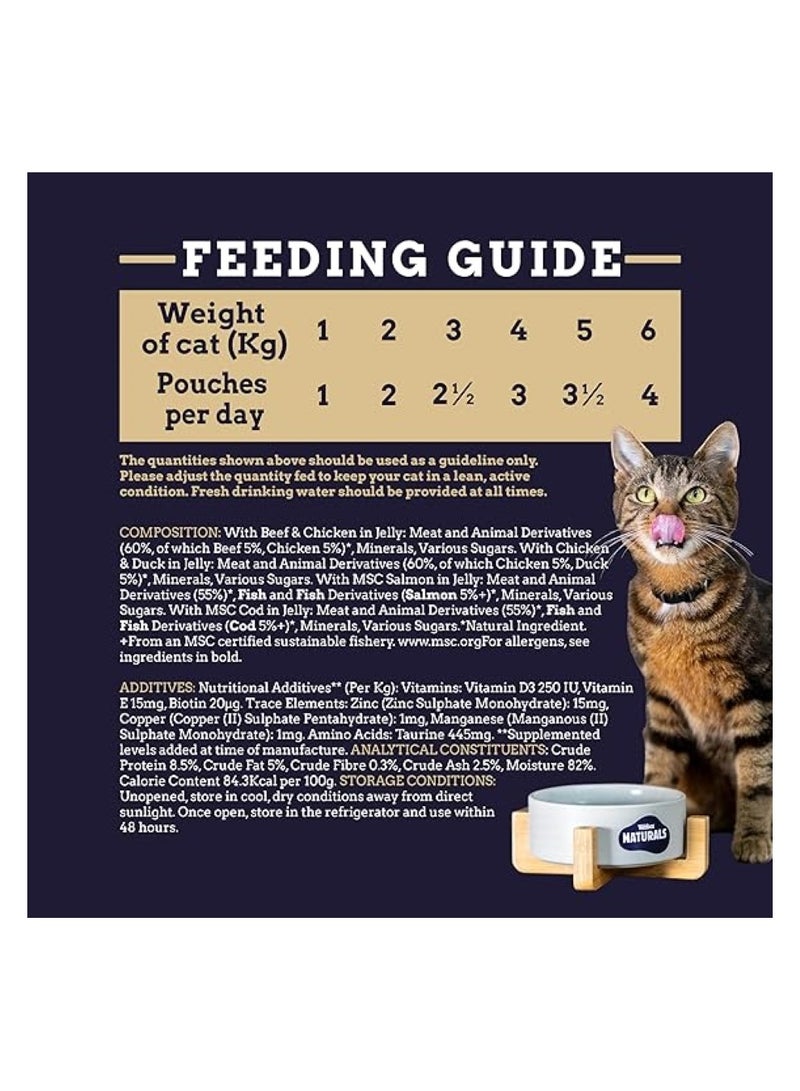 Webbox Tasty Meat & Fish Cat Food 12x100g