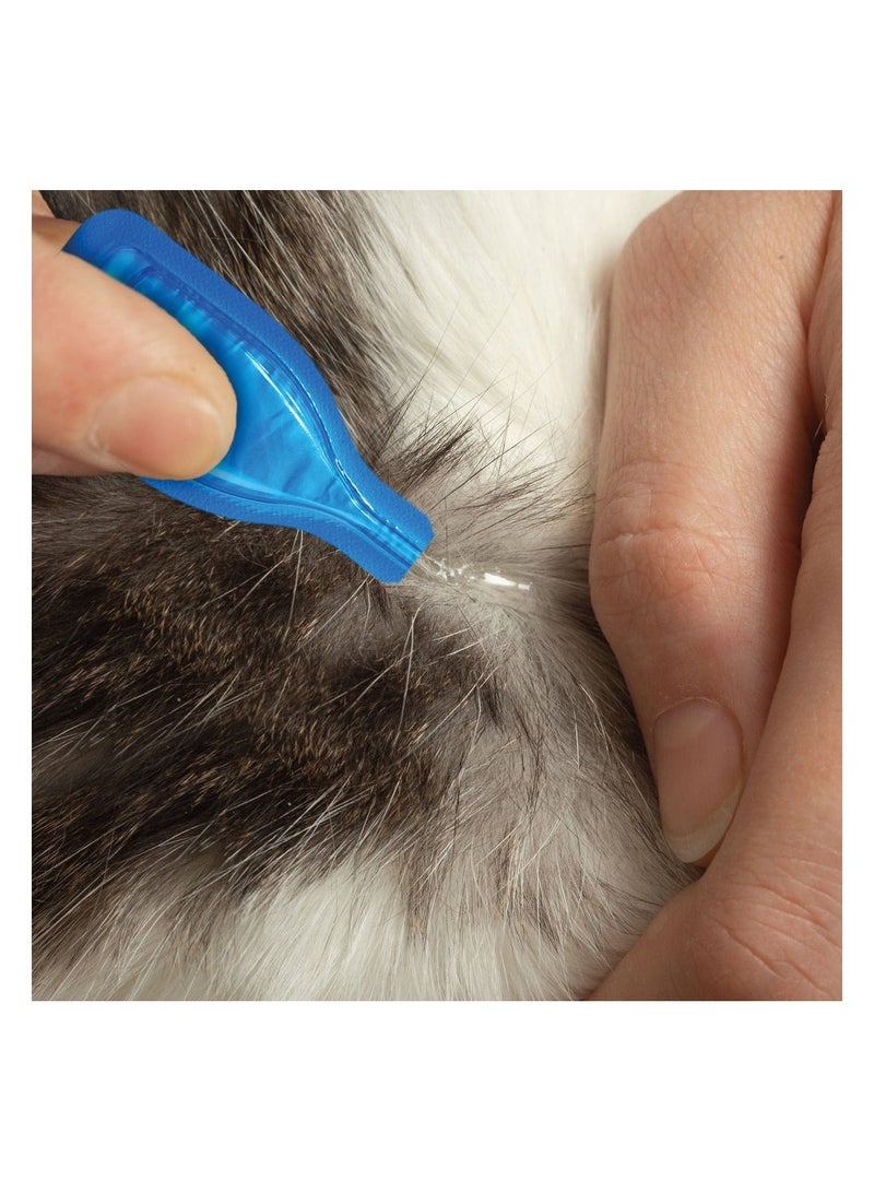 Beaphar Spot-On For Cats 50 Mg