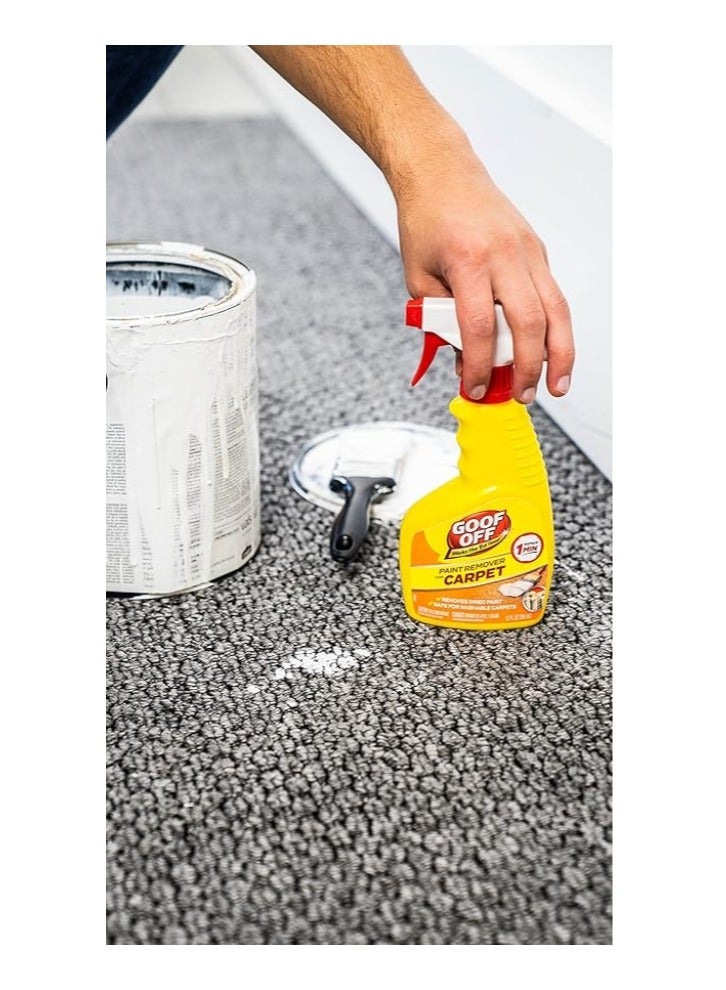 GOOF OFF Paint Remover for Carpet 355 ML