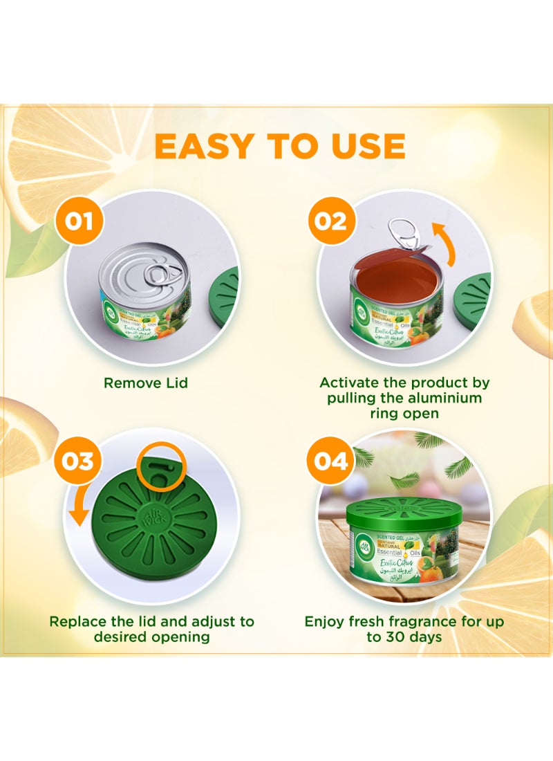Air Wick Citrus Scented Gel Freshener 70g