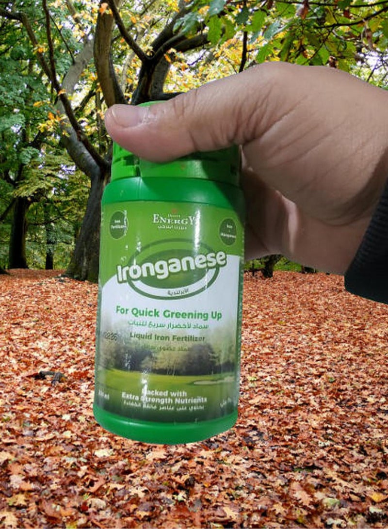 DESERT ENERGY Ironganese Plant Iron Fertilizer 250 ML