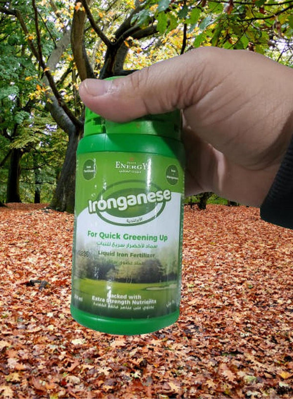 DESERT ENERGY Ironganese Plant Iron Fertilizer 250 ML