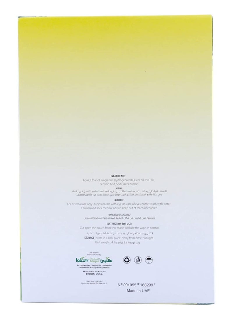 Falcon Refreshing Wet Wipes 100 Pcs