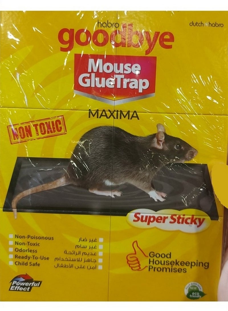 Dutch & Habro Goodbye Mouse Glue Trap Maxima