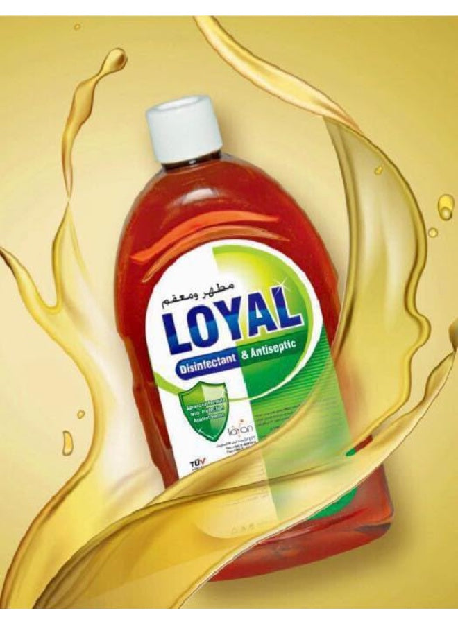 antiseptic liquid, brand loyal, cool dry, disinfectant antiseptic, disinfectant antiseptic liquid, dry place, fabric care, home fresh, loyal, open wounds, place away, safety note, sensitive skin, skin areas, usage type