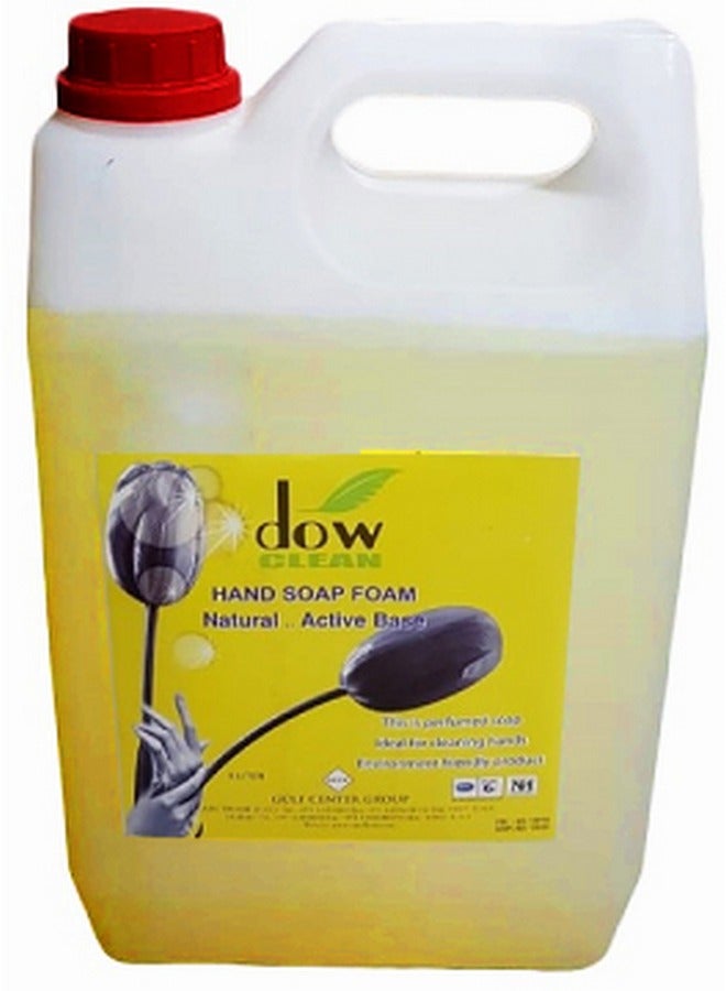 Dow Clean Hand Soap Liquid Foam 5L - Dow Clean