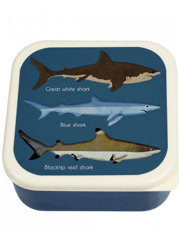Rex London Wild Wonders Lunch Box With Tray