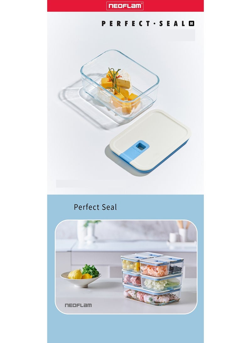 Neoflam Perfect Seal Rectangular Glass Storage Container