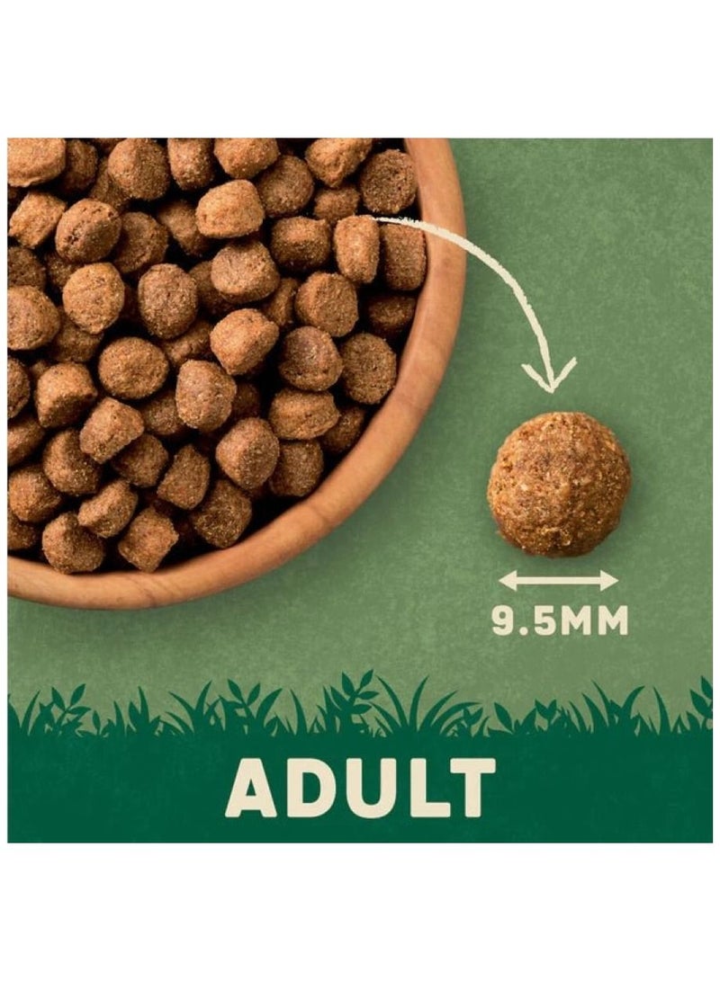 HARRINGTONS Complete Beef Dry Dog Food 1.7Kg