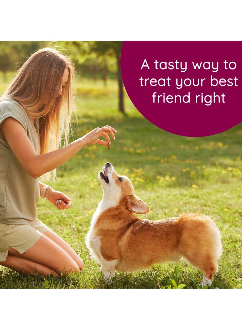 Soft N’ Tasty Baked Bites for Dog by CARU