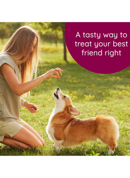 Soft N’ Tasty Baked Bites for Dog by CARU