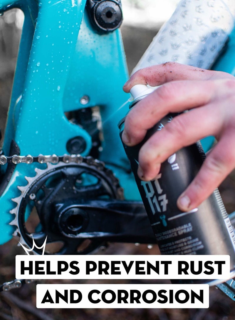 PEATY'S Pt17 General Maintenance Spray
