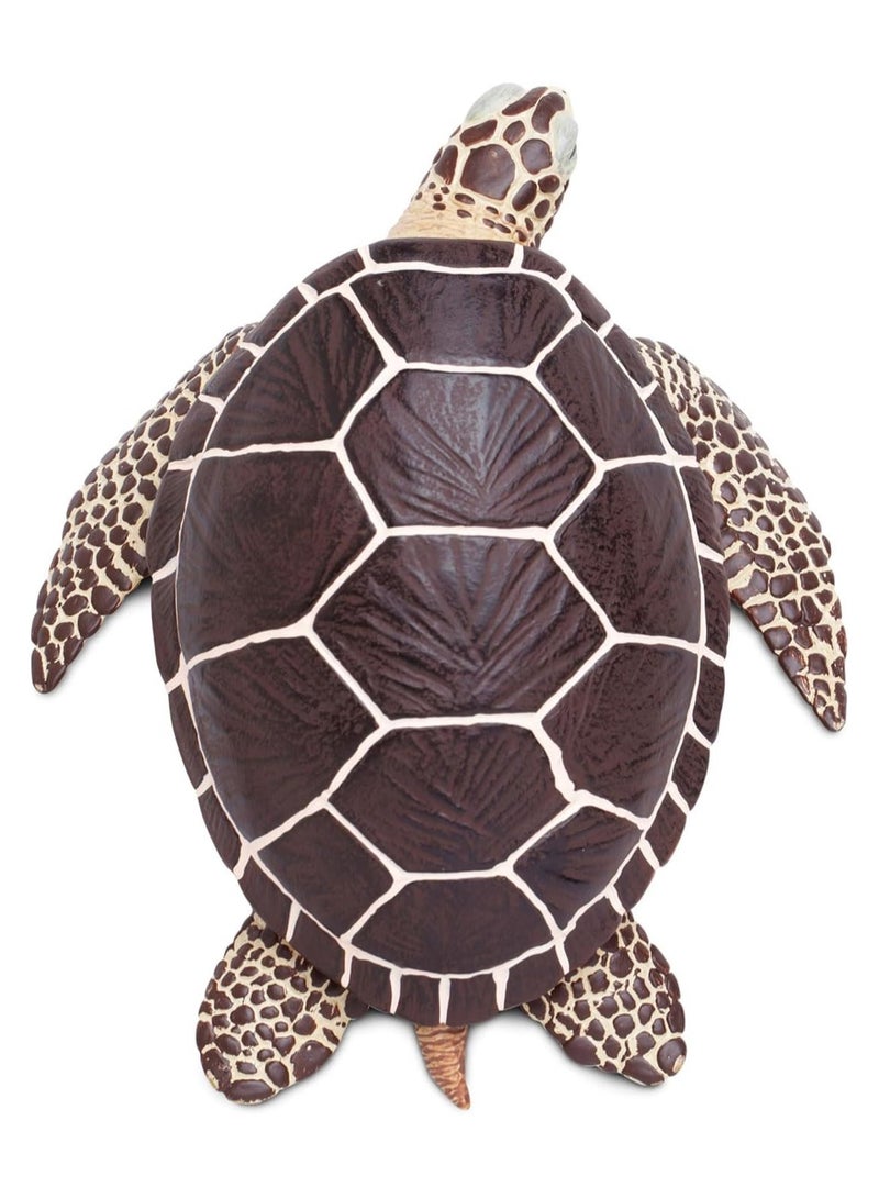 Safari Ltd Sea Turtle Figure - Premium Quality