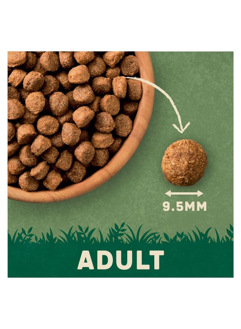 HARRINGTONS Complete Chicken Dry Dog Food 1.7Kg