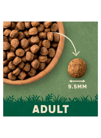 HARRINGTONS Complete Chicken Dry Dog Food 1.7Kg