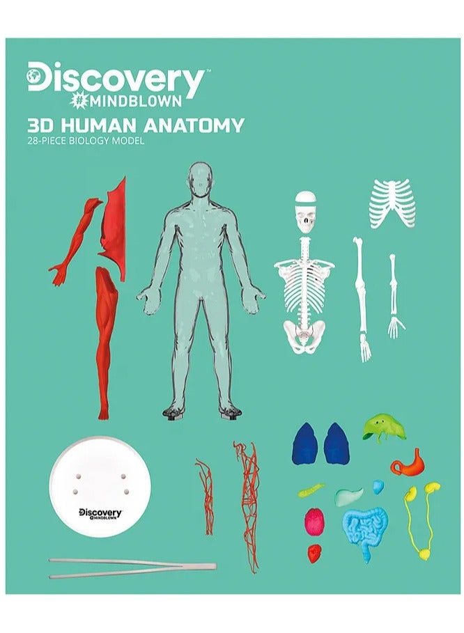 3D Human Anatomy Puzzle Kit by Discovery