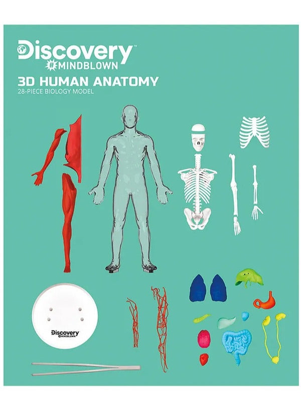 3D Human Anatomy Puzzle Kit by Discovery