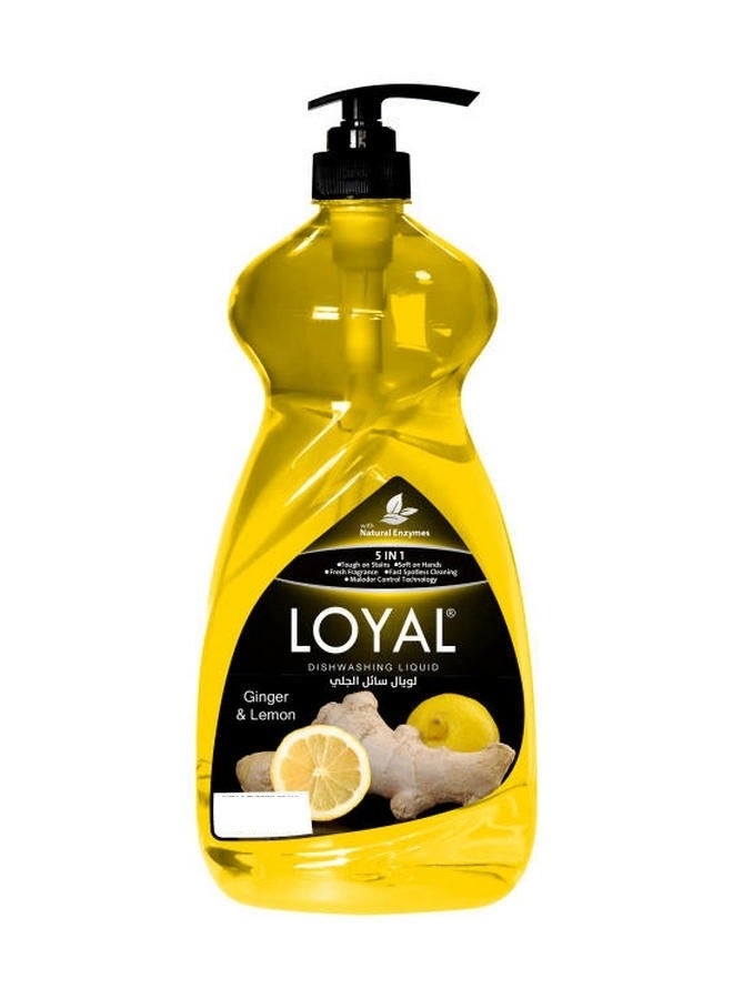 Loyal 5 In 1 Dishwashing Liquid 1.5L - Ginger & Lemon