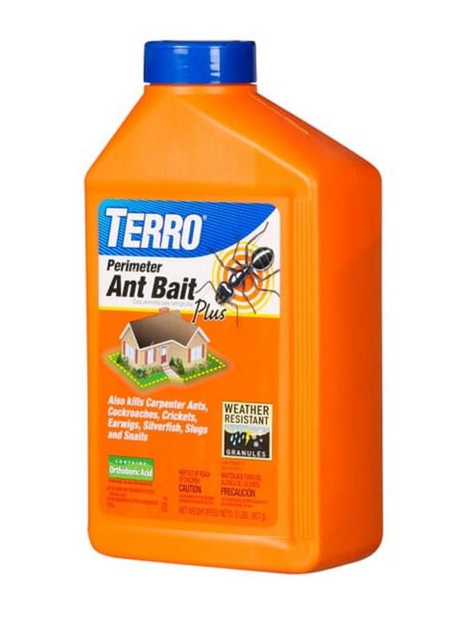 Outdoor Ant Bait Plus by Terro - Ant Control Solution