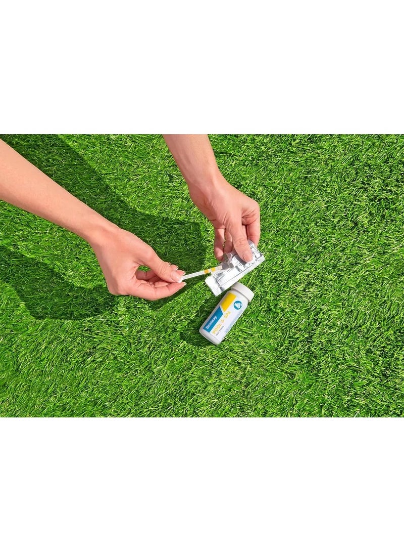 Bestway Test Strips 3 In 1 For Pool And Spa