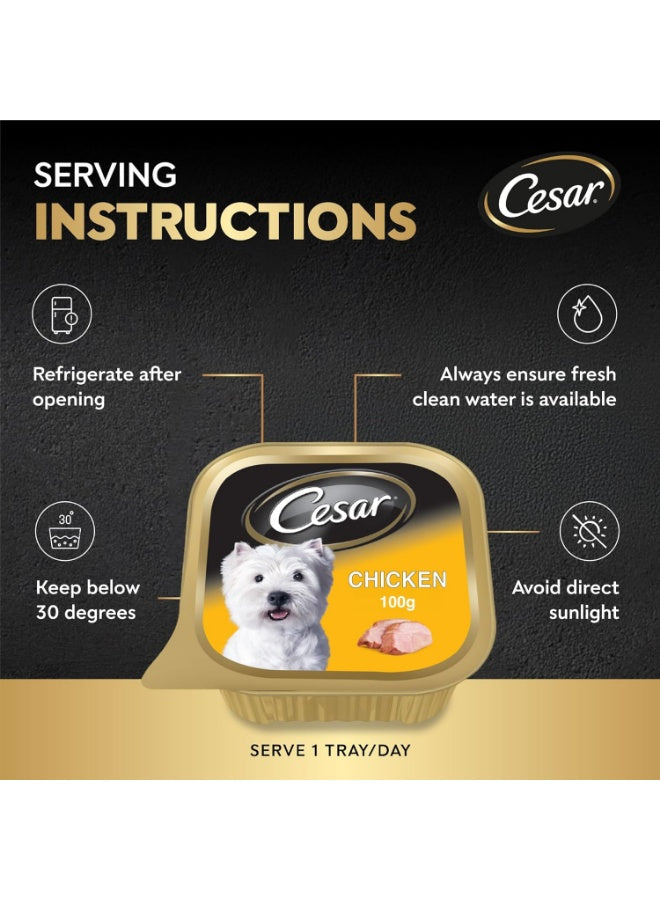 balanced dog, balanced dog nutrition, cesar, chicken dog, chicken dog wet, complete balanced, complete balanced dog, dog nutrition, dog wet, dog wet food, food complete, food complete balanced, wet dog, wet food, wet food complete