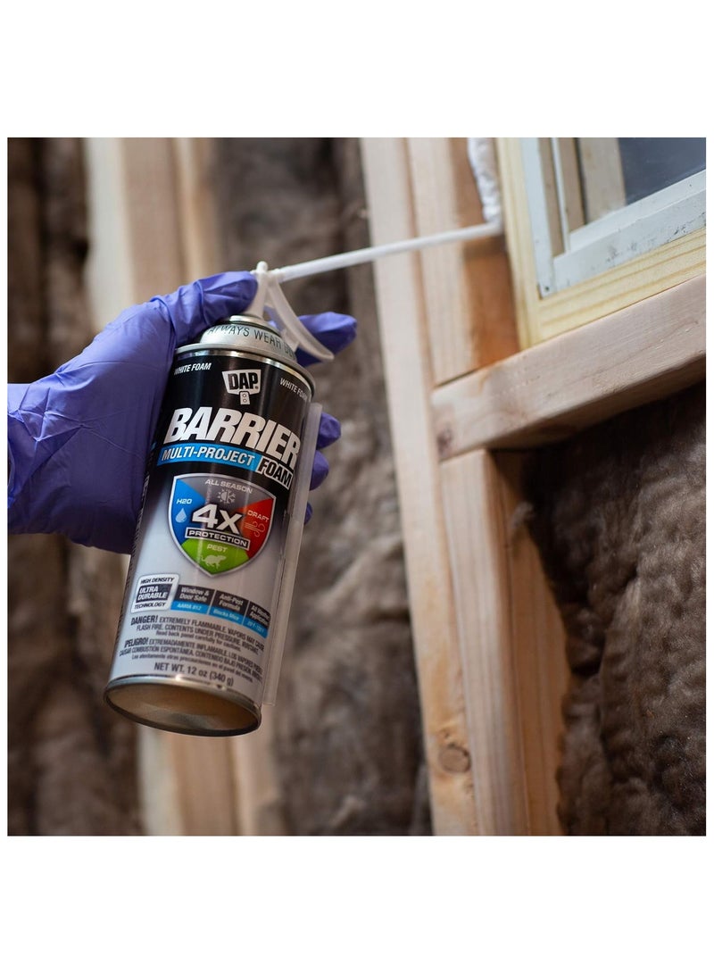 Dap Multi Project Foam Sealant 340 G