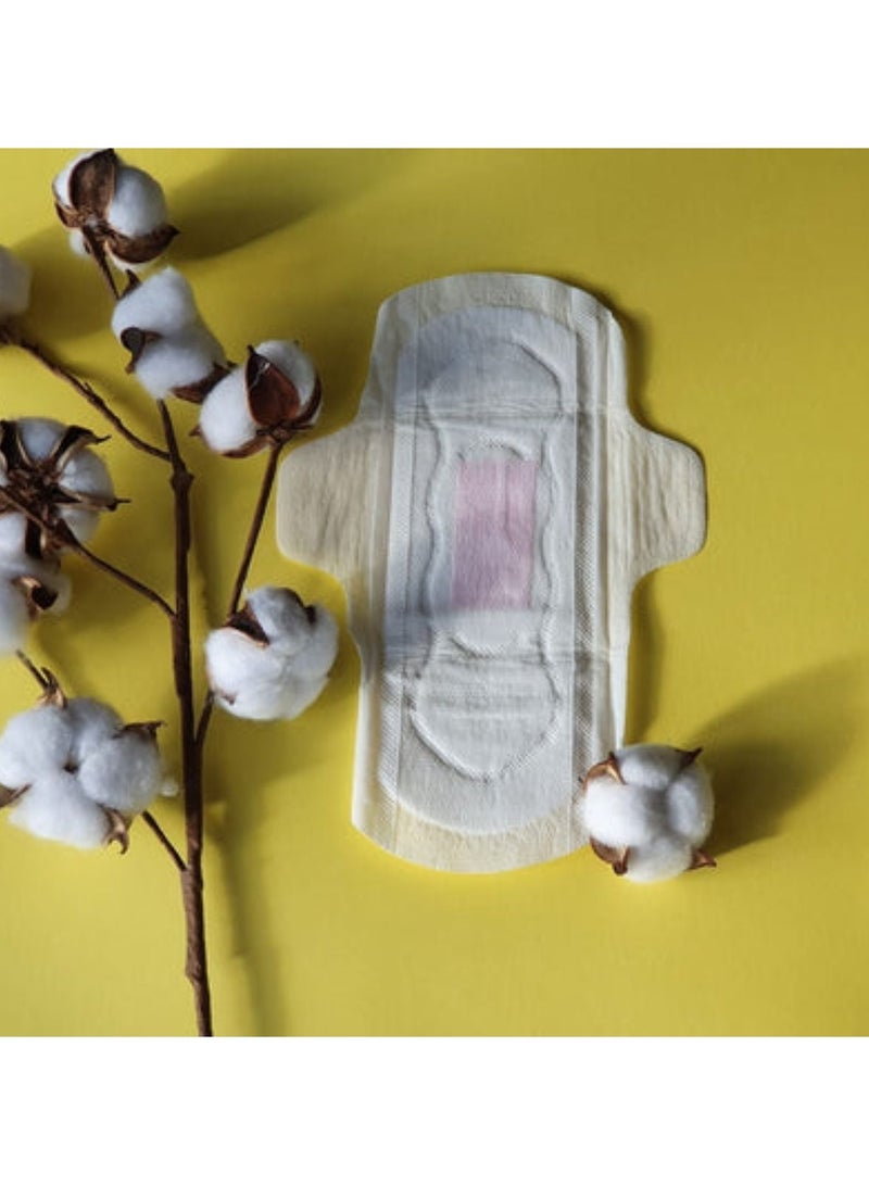 PLASTFREE Organic Large Sanitary Pads - 12 Pads