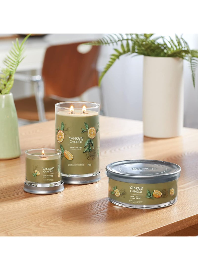 YANKEE CANDLE Sage & Citrus Scented Candle