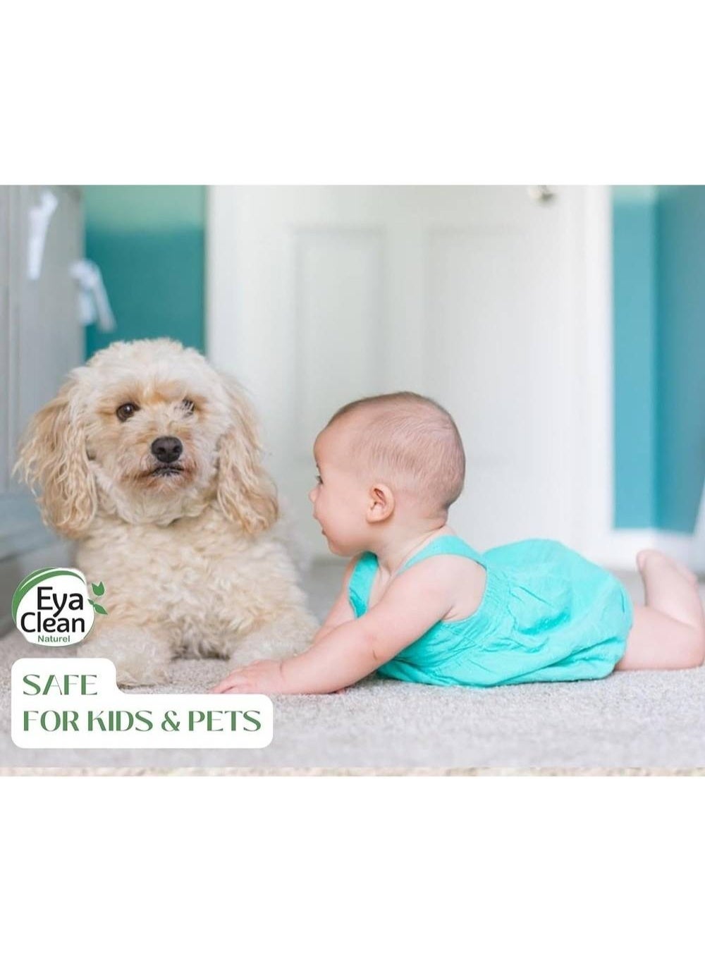 all purpose, antibacterial, brand eye, cool dry, dry place, eyaclean, eye clean, natural ingredients, natural pro, note keep, pets avoid, place away, purpose cleaner, stainless steel, type spray
