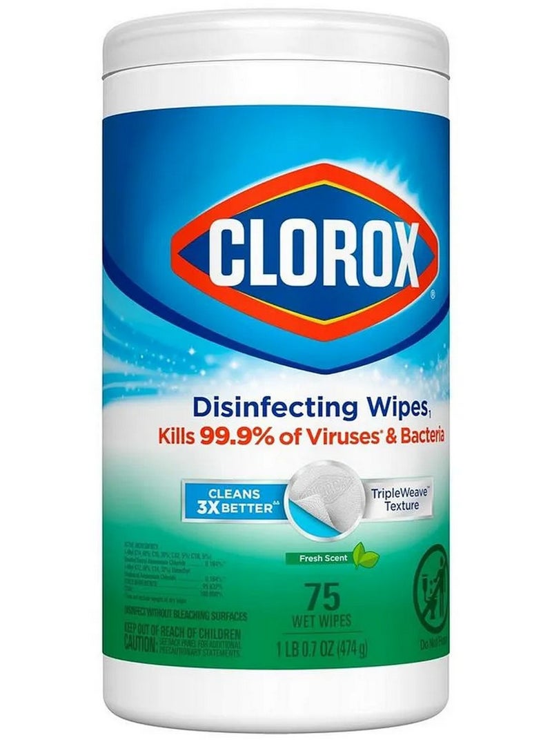 Clorox Disinfecting Wipes Fresh Scent