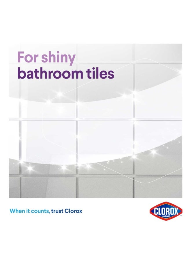 Clorox Mold & Mildew Remover 750 ML