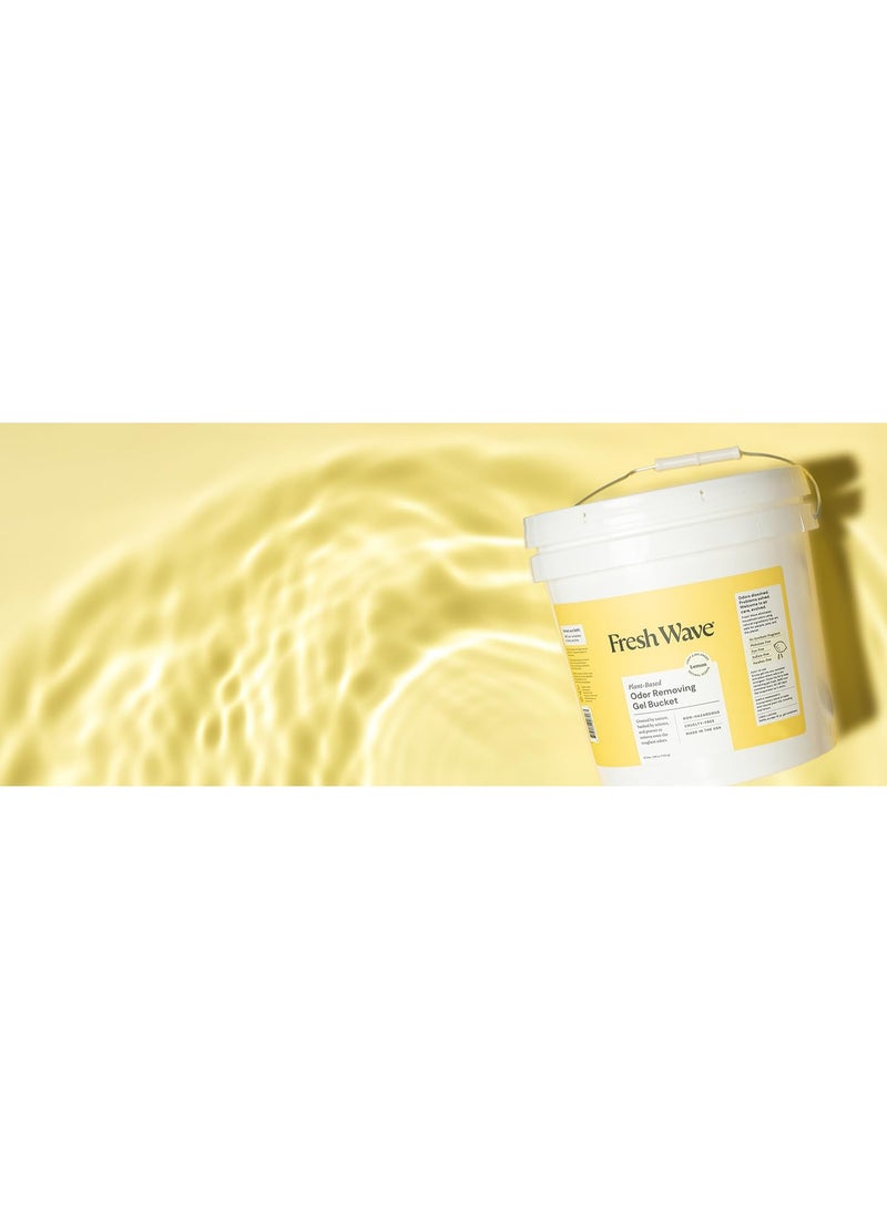 Fresh Wave Lemon Odor Eliminating Gel 425G