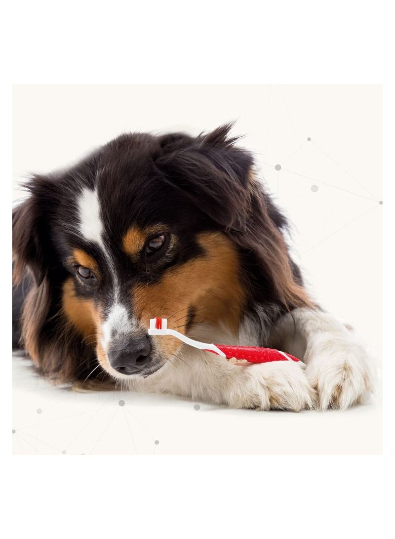 Beaphar Toothpaste for Dogs 100 G