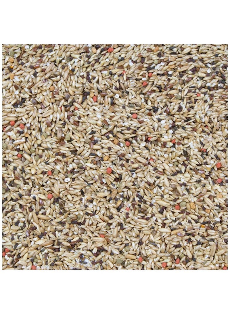 HigginS Vita Seed Canary Dry Food 2 Lb