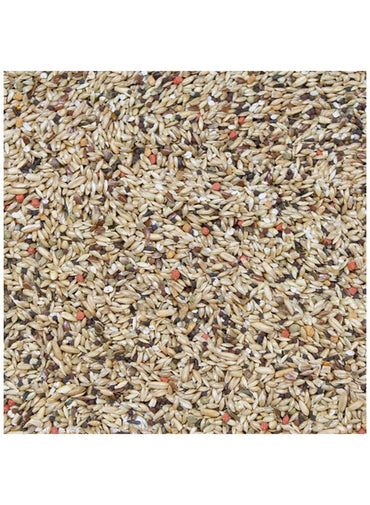 HigginS Vita Seed Canary Dry Food 2 Lb