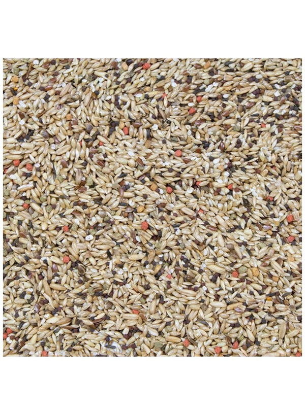 HigginS Vita Seed Canary Dry Food 2 Lb