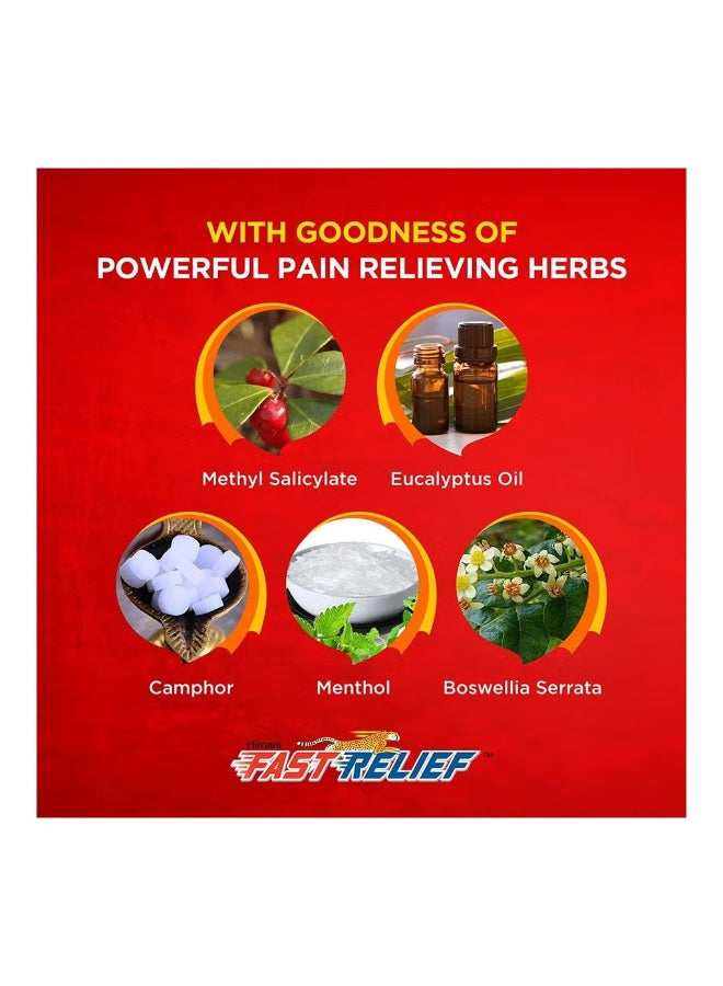 aid kit, cool dry, fast relief, fast relief herbal, get back, herbal pain, herbal pain relief, himani, kit key, natural ingredients, pain relief, pain relief ointment, relief herbal, relief herbal pain, relief ointment