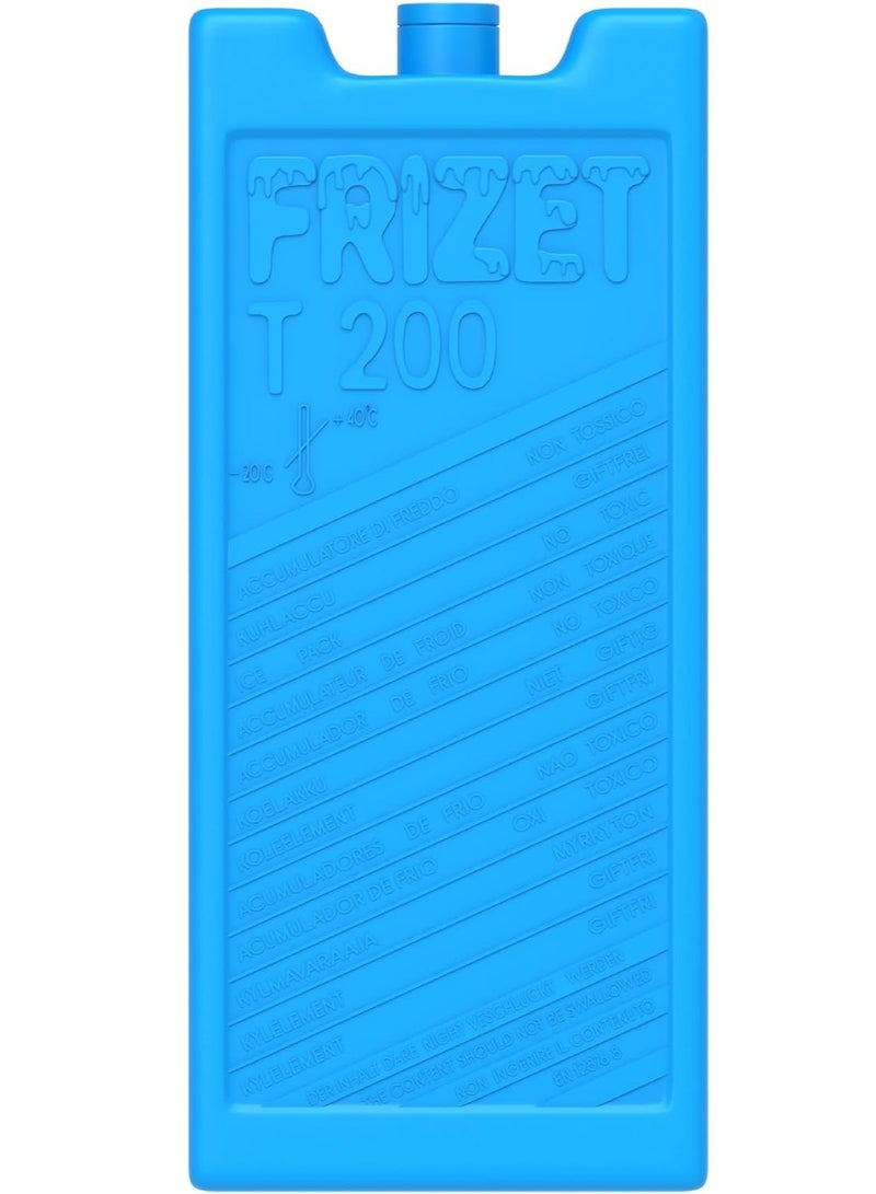 Frizet Keep Cold Freezer Ice Packs Twin Pack