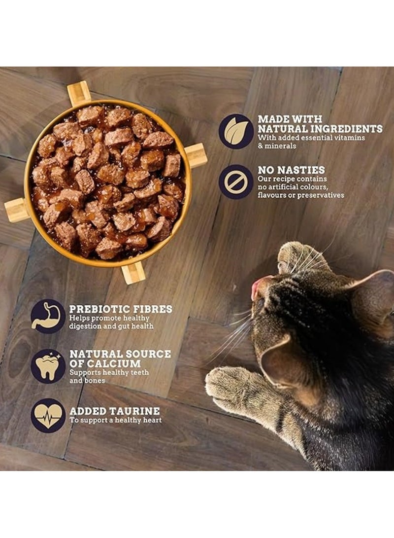 Webbox Tasty Meat & Fish Cat Food 12x100g