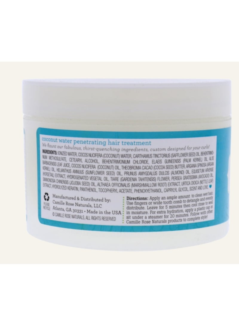 Camille Rose Coconut Water Hair Treatment 240 ML