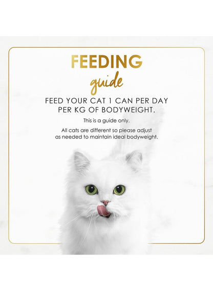 Purina Fancy Feast Salmon Feast In Gravy 85g