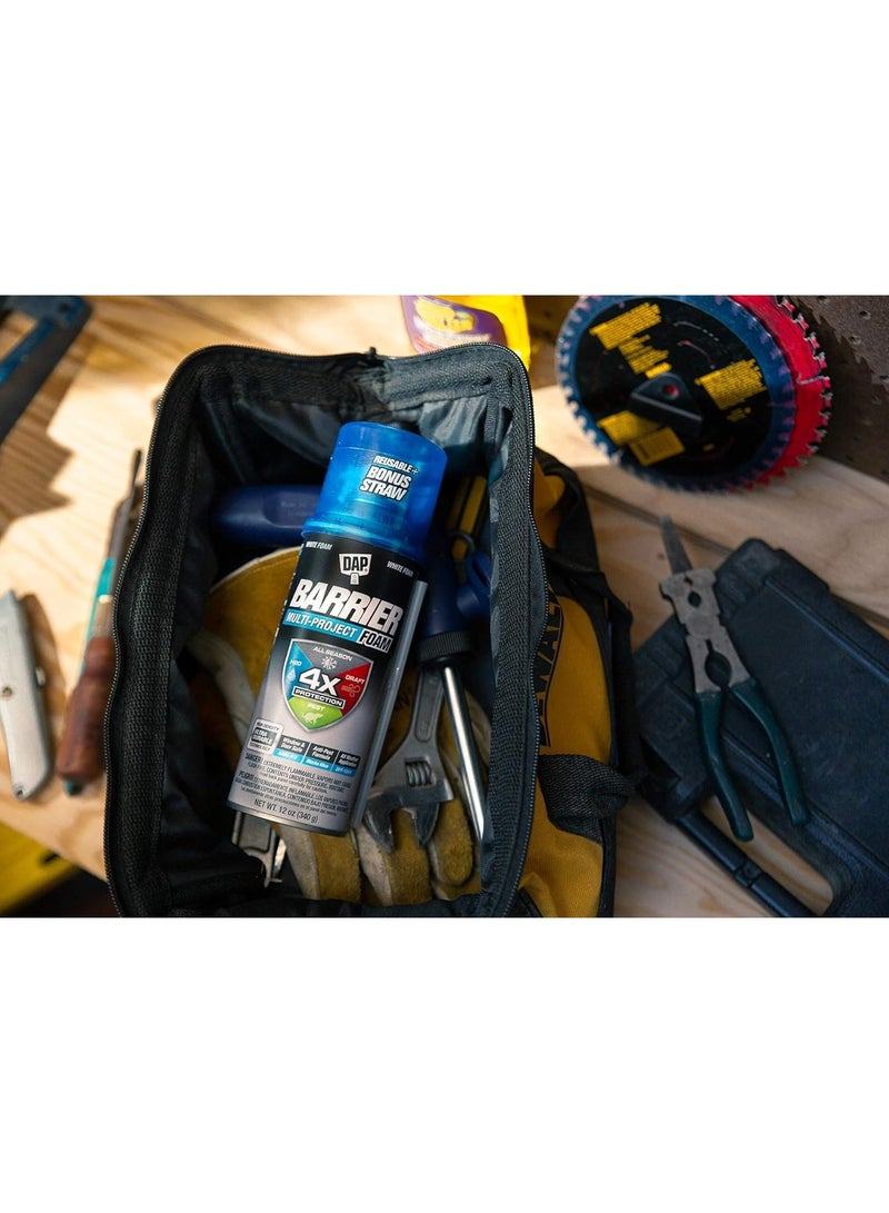 Dap Multi Project Foam Sealant 340 G